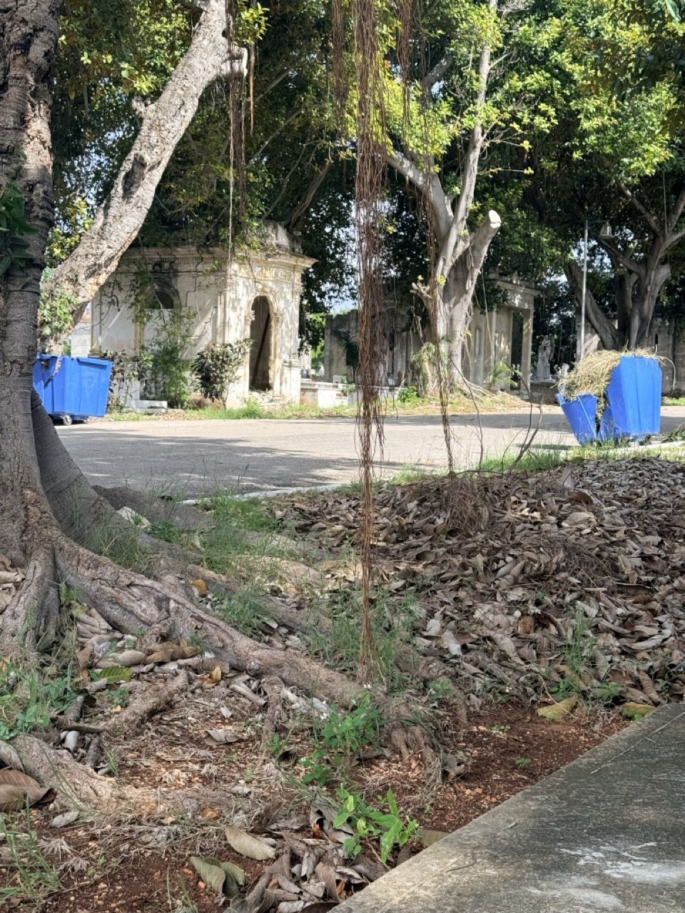 Necrópolis featured image